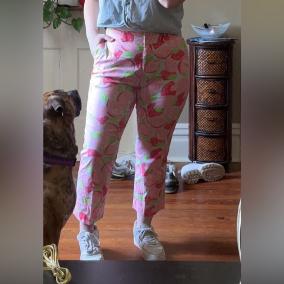 Ankle length Lilly Pulitzer pink and green pants, size 6 - Picture 6 of 6